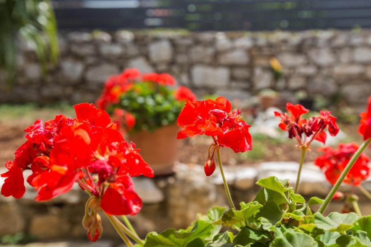 Laureta Apartment Porec
